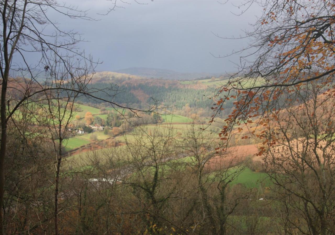 Sunnyview Annexe Villa Saint Briavels Luaran gambar
